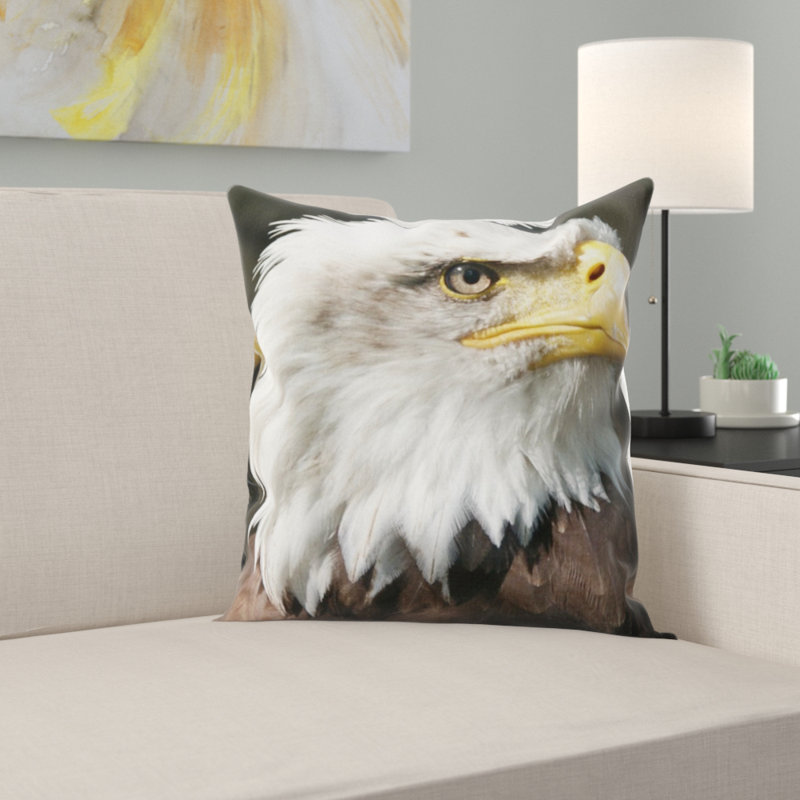 Coussin chauve eagle
