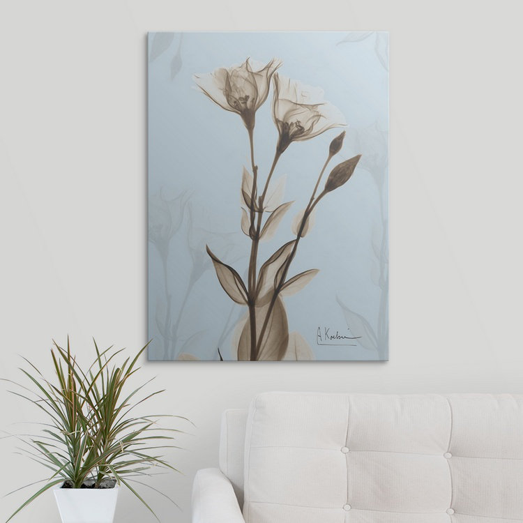 «Rose X-Ray Floral» par Billyjack - reproduction de photo, H 24 po x l 18 po x 1,25 po, Toile tendue
