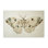 Art mural rétro sur toile papillon de nuit beige par Petal Prints Design