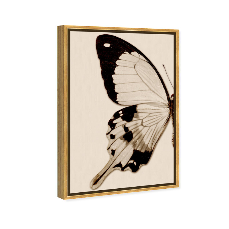 " Animals Sepia Butterfly I Insects ", 36" H x 24" W x 1.5" D, Gold Framed Canvas