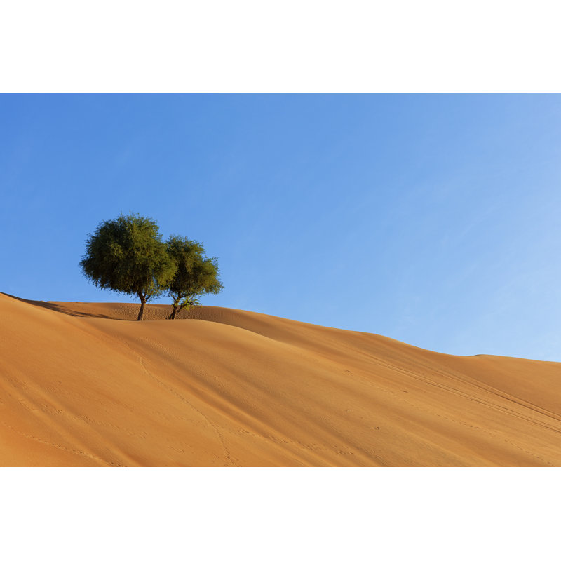 Desert Trees by 35007 - No Frame Art Prints on Canvas, 61cm H x 91cm W