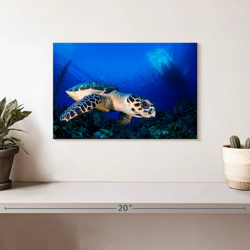 Brampt Underwater Hawksbill Turtle, 8" H x 12" W