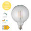 6W LED Vintage Filament Light Bulb