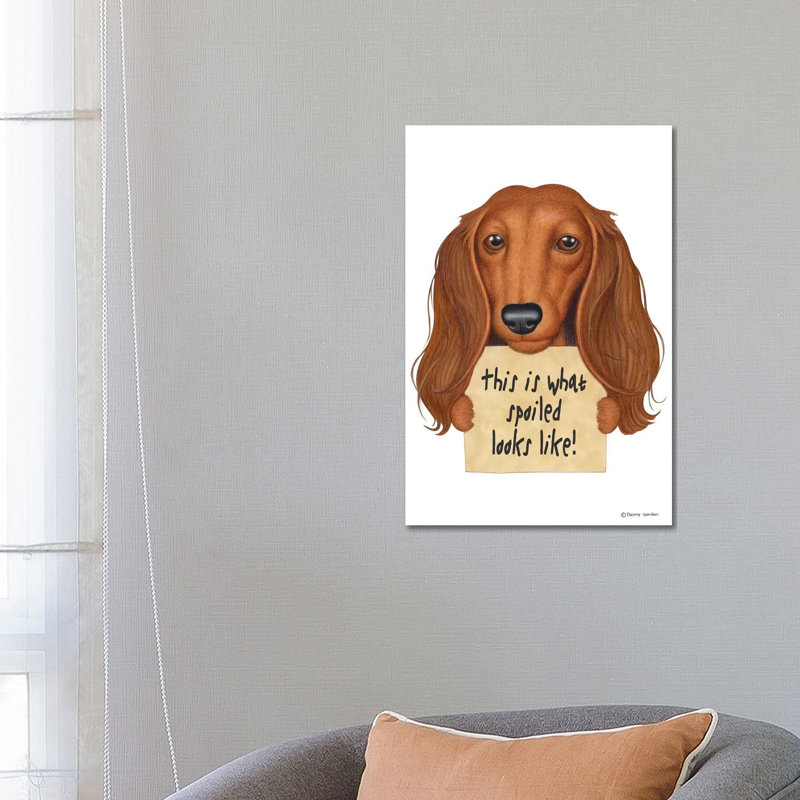 Dachshund Spoiled Looks Like by Danny Gordon - Wrapped Canvas Print, 66.04 cm H x 45.72 cm W