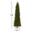 Downswept DouglasFir Pencil Slim Tree with Dual Color LED Lights-334721033