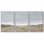 Arid Vista II - 3 pièces, reproduction sur toile-883182444-883182446