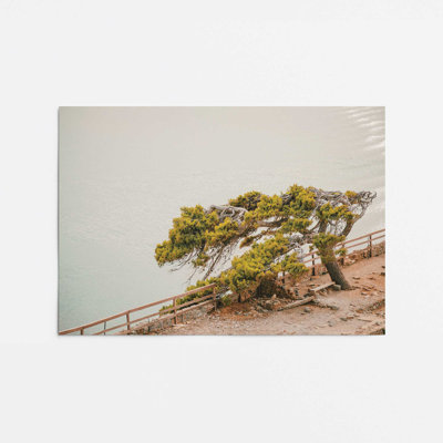 Motif de beauté balayée par le vent