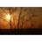 Scenic & Cityscapes Non-Wall Damaging Wall Decal-32928830