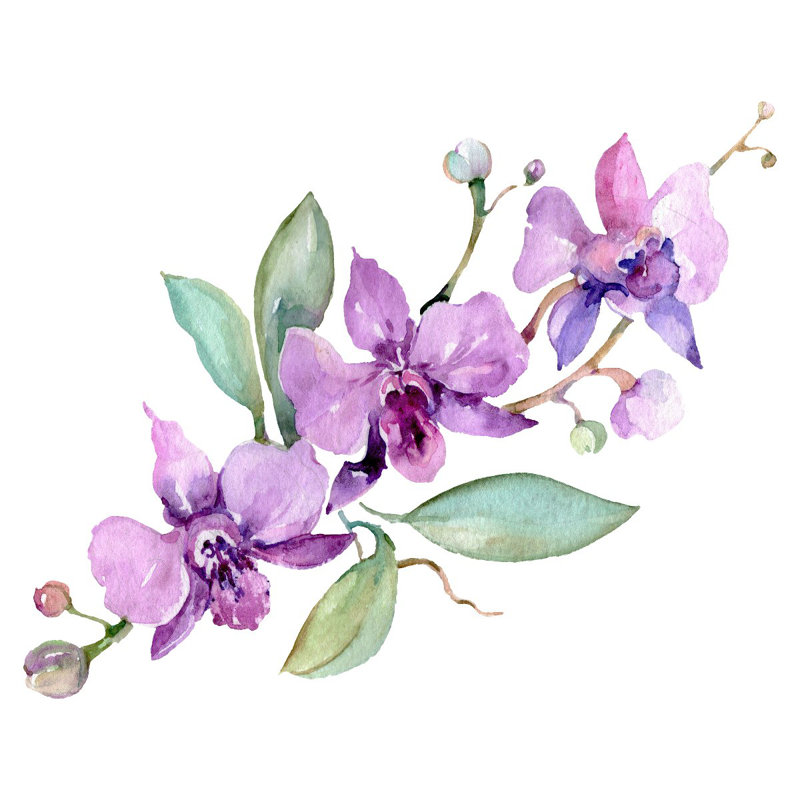Panneau de papier peint auto-adhésif L 8,33 pi x l 100 po Orchid, L 10,4 pi x l 125 po