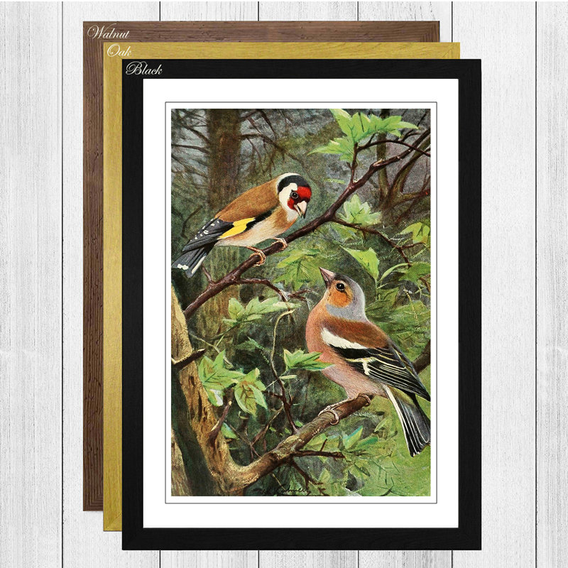Vintage Goldfinch and Chaffinch by Wilhelm Kuhnert - Framed Print, Oak