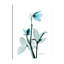 "Aqua Helle Borus", toile tendue par Albert Koetsier-1187418133