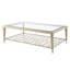 Steel and Tempered Glass Top Coffee Table-301728509