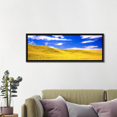 " Canola Fields Washington State "
