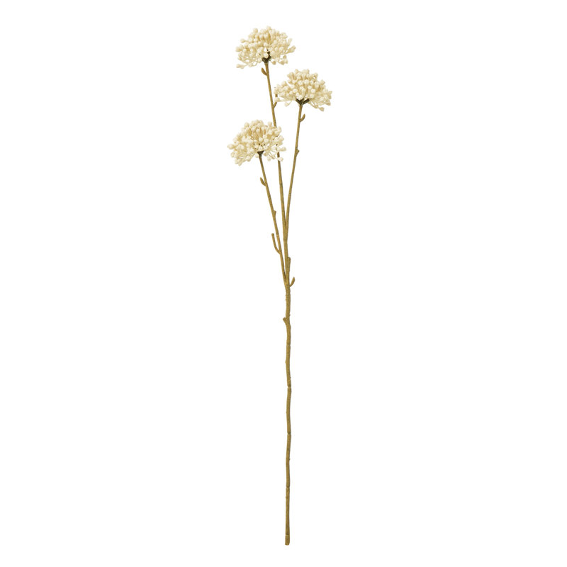 Arrangement, Cream