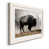 White Framed Paper