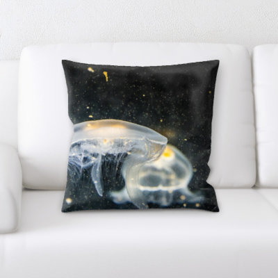 Housse et insert de coussin carré Everette
