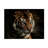 Bolog Yohan Tan Tigers Canvas Art-93222707