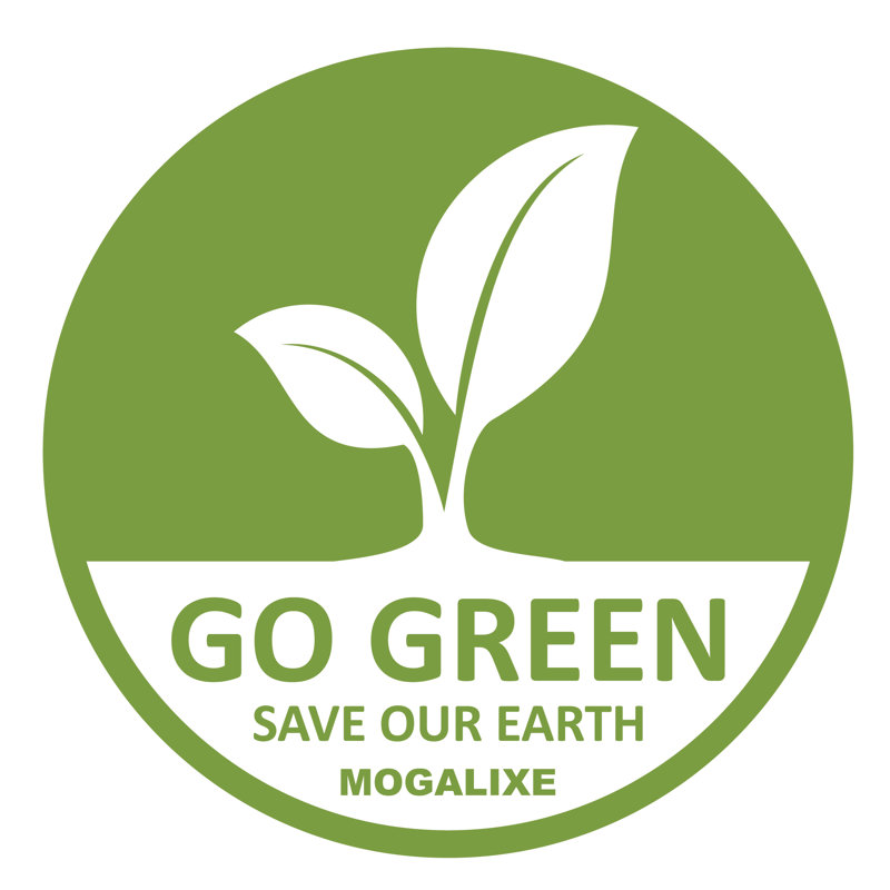 Pailles compostables Mogalixe