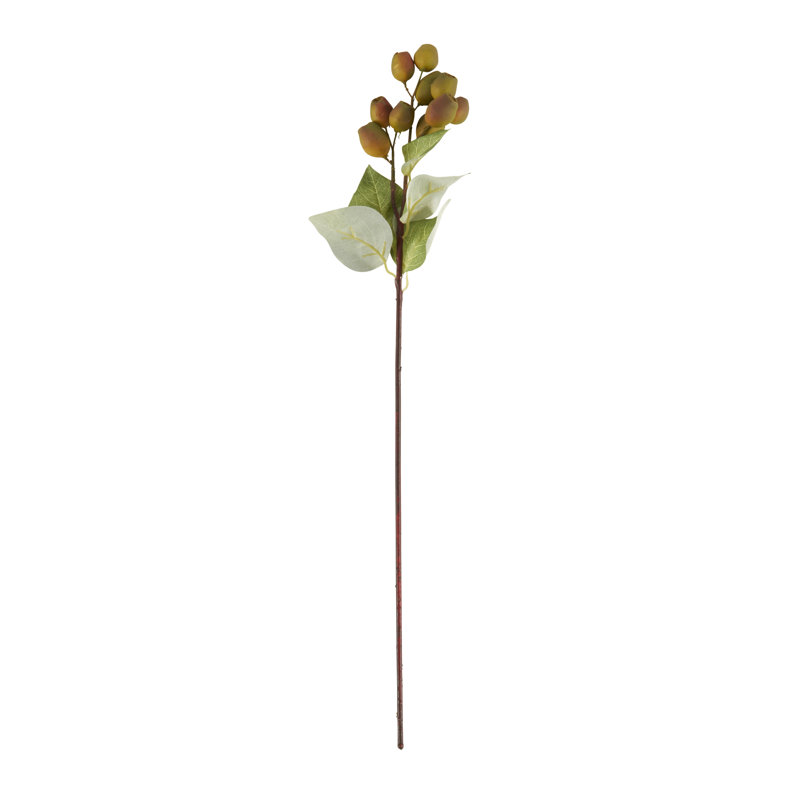 Ensemble de 36 capsules d'eucalyptus