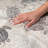 Premium Machine Washable Dream Shag ADS192 Turtles Rug-895849942-895849934
