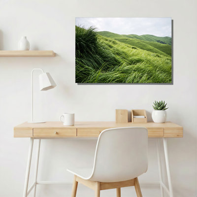 Green Rolling Hills And Tall Windblown Grass Field Canvas Wall Art