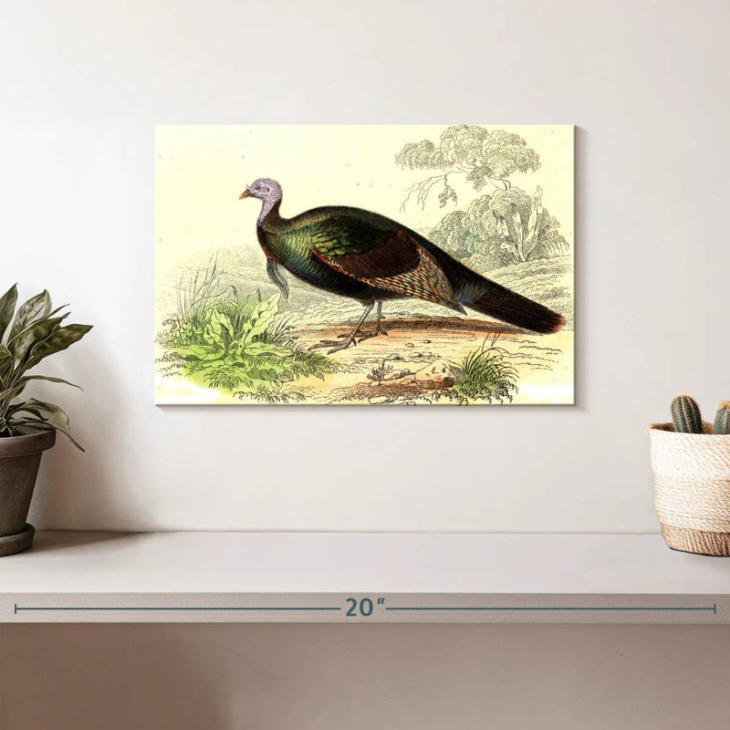 Brampt Wild Turkey, 8" H x 12" W