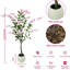 10.04cm Plant