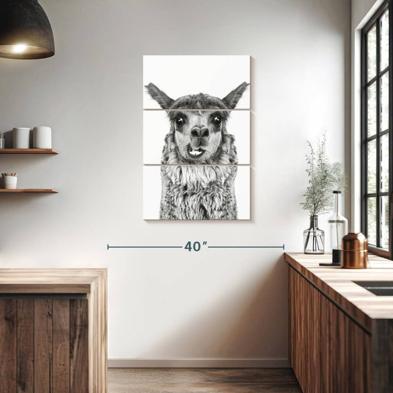 Brampt Happy Alpaca en noir et blanc, H 38 po x l 24 po