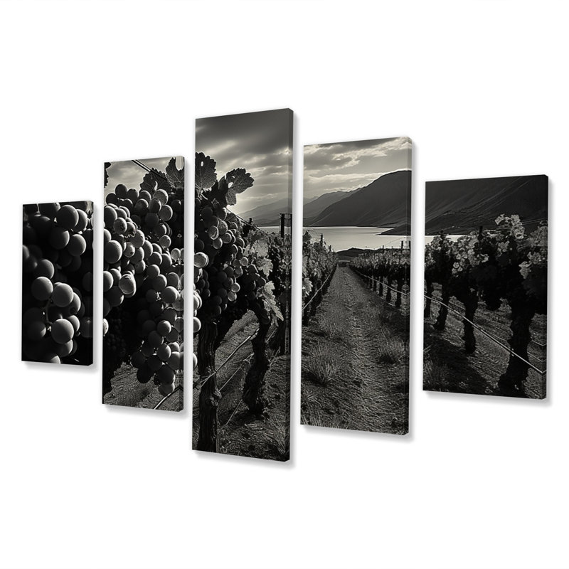 «Scenic Vineyard In Monicoloch - Reproduction d'art mural paysages - 5 panneaux