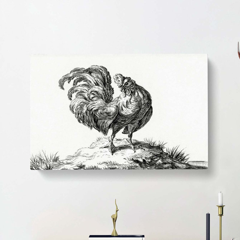 Sketch of a Rooster by Jean Bernard - Wrapped Canvas Drawing - Wrapped Canvas, 35cm H x 50cm W x 3cm D