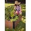 Lit de jardin à l'apparence de bois 48 po x 48 po Keter, jardinière d'extérieur durable (choisir la couleur)-111726587