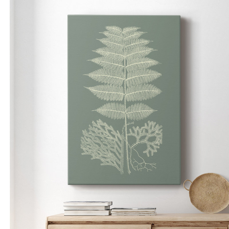 Fougères sur toile sauge V tendue avec châssis de qualité supérieure - prête à être accrochée, L 24 po x H 36 po