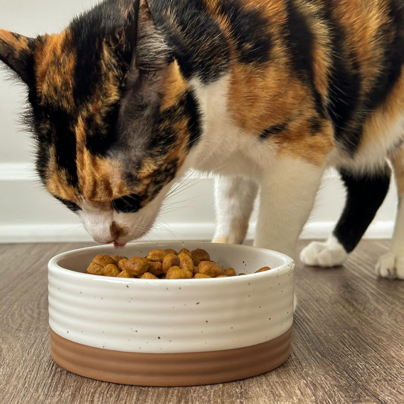 Pet Bowl Size Small - Food/Water Dish
