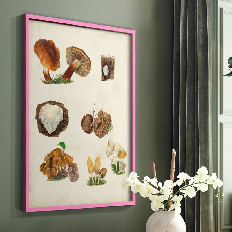 «Mushroom Species I», reproduction encadrée - bois massif, Rose, H 10 po x l 8 po