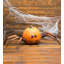 Halloween Spider Pumpkin Appendages