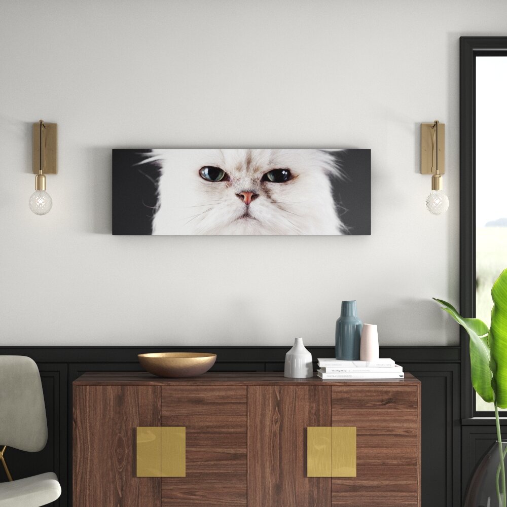 Gerahmtes Leinwandbild Weiße Katze im Portrait