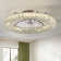 22" Hudman Dimmable Crystal Ceiling Fan with LED Lights