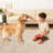 Area Rugs for Living Room Washable Rugs Non Slip Stain Resistant Bordered CarpetFoldable Rugs for BedroomDining RoomNursery-1091369609-1091369715