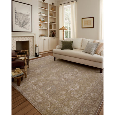Chris Loves Julia x Loloi Louisa Taupe / Gold Area Rug