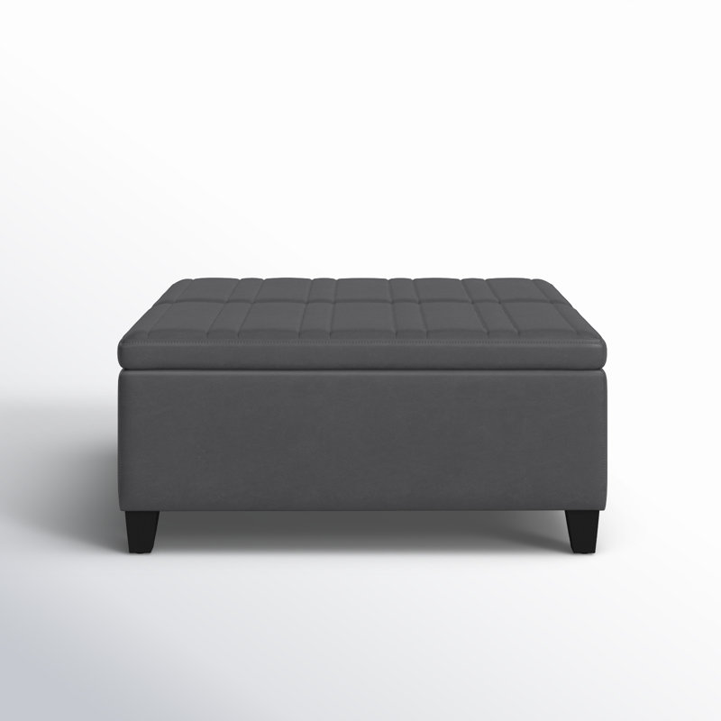 Repose-pieds de rangement pour table basse Ellis, Similicuir gris pierre