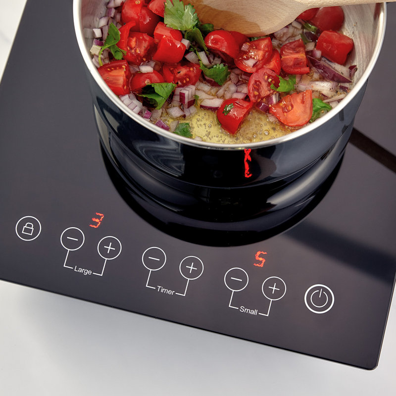 Judge, Electricals - Double Induction Hub