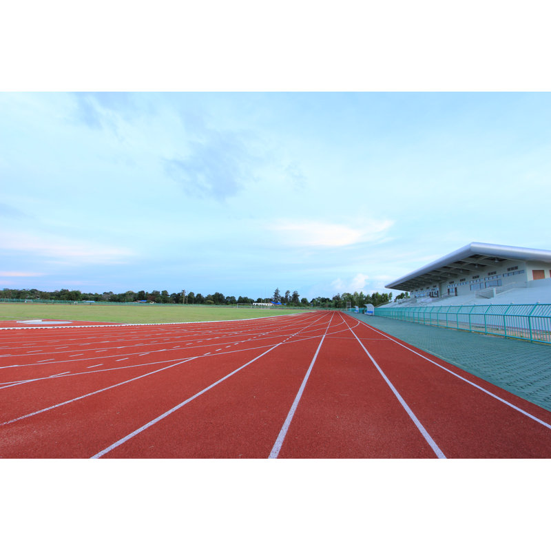 Photo de course sur toile tendue, H 8 po x l 12 po