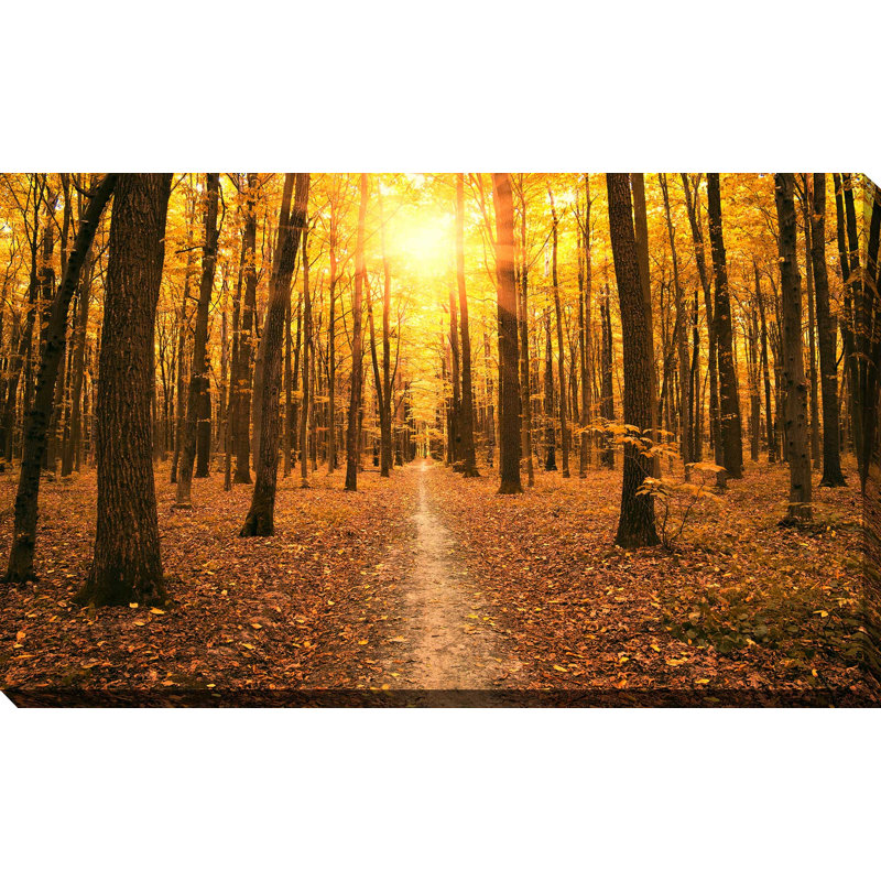 « automne forest », reproduction d’impression sur toile tendue, H 18 po x l 30 po x P 1 po