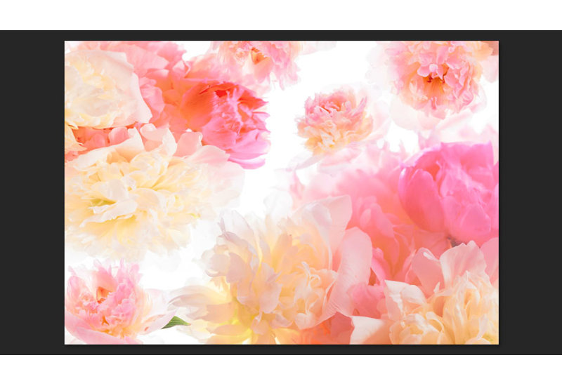Pastel Peonies 245cm x 350cm Wallpaper, 280 cm x 400 cm