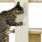 363.22cm H Cat Tree