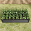 Lit de jardin surélevé en métal durable, idéal pour les fleurs, les plantes et les légumes avec un revêtement antirouille-377654568-377654572