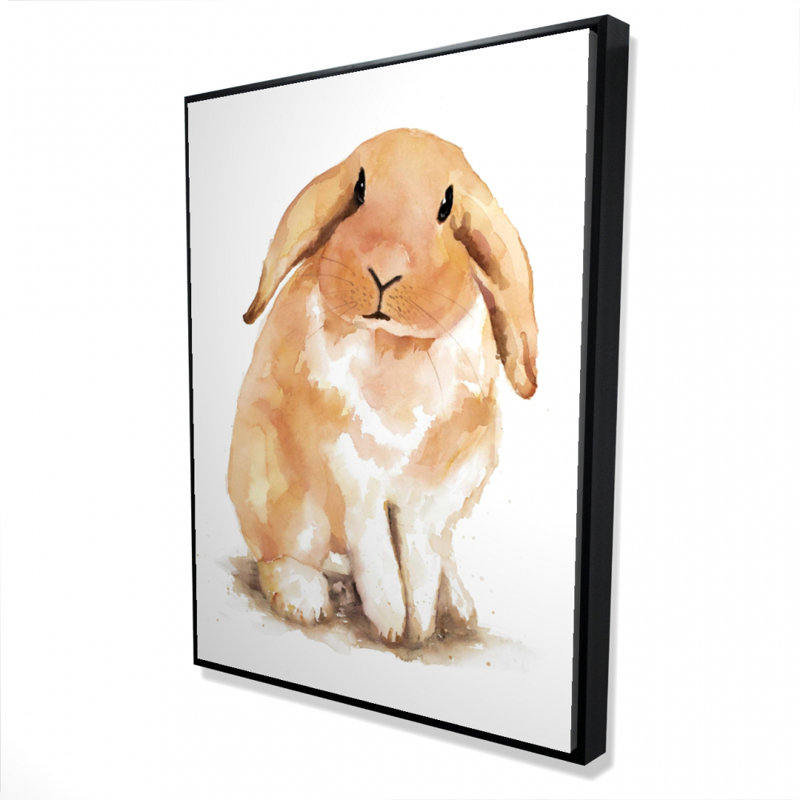 Lop-Rabbit Print On Canvas