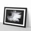 Pretty Flower - Picture Frame Graphic Art Print-56861911-56861914