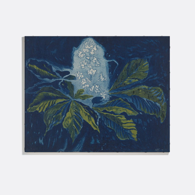 Chestnut Print by Henri Braakensiek