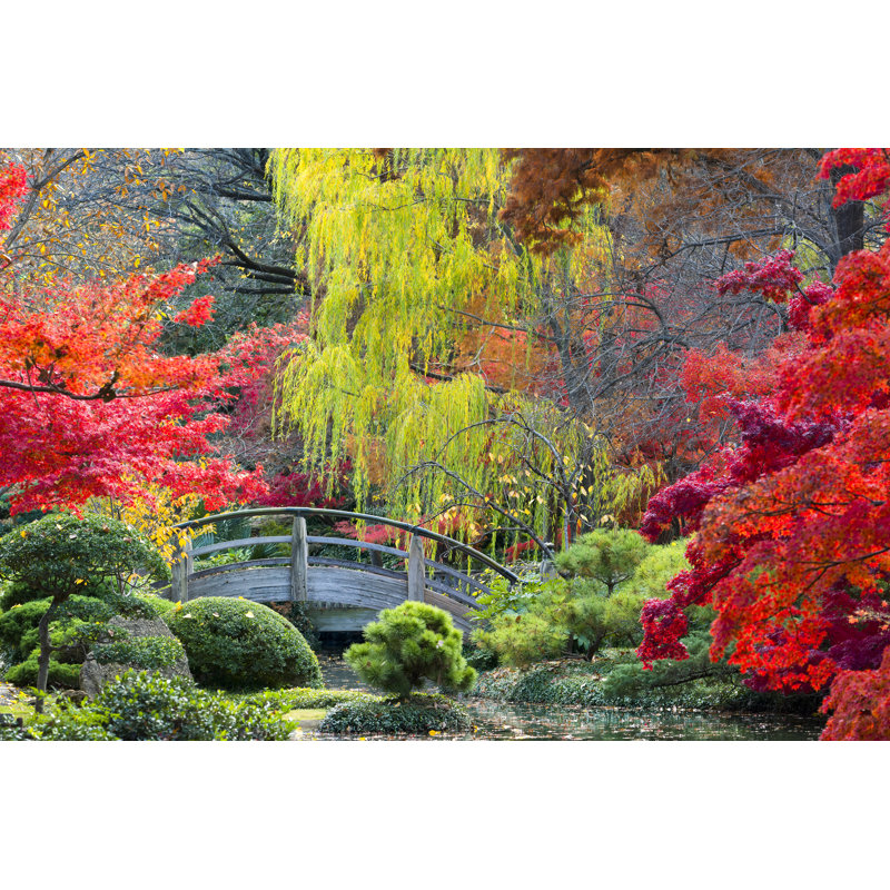 Moon Bridge in Gardens - Photographie sur toile tendue, H 12 po x l 18 po